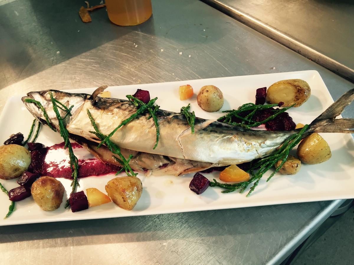 The Poltimore Inn North Molton 外观 照片